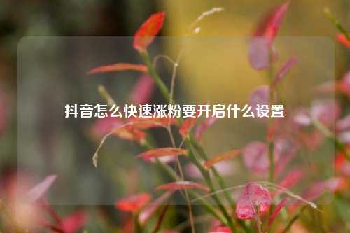 抖音怎么快速涨粉要开启什么设置