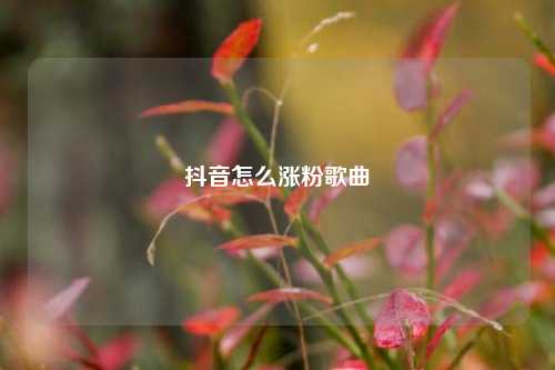 抖音怎么涨粉歌曲