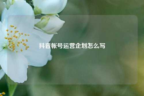 抖音帐号运营企划怎么写