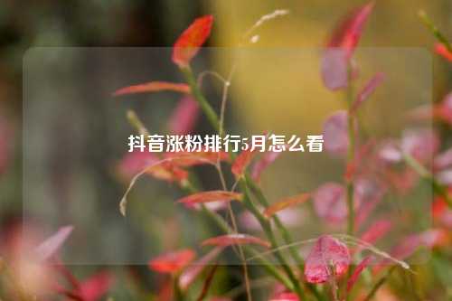 抖音涨粉排行5月怎么看