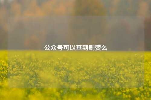 公众号可以查到刷赞么