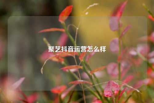 聚艺抖音运营怎么样
