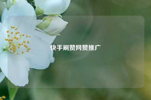 快手刷赞网赞推广