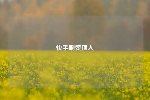 快手刷赞顶人