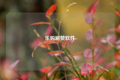 乐购刷赞软件