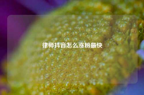 律师抖音怎么涨粉最快