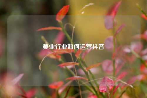 美业行业如何运营抖音