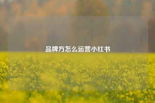 品牌方怎么运营小红书