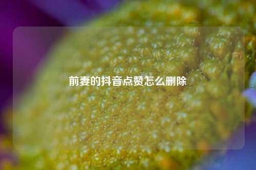 前妻的抖音点赞怎么删除