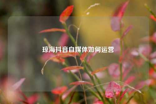 琼海抖音自媒体如何运营