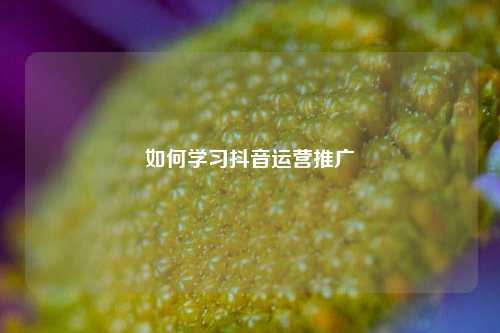 如何学习抖音运营推广