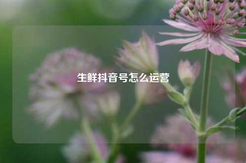 生鲜抖音号怎么运营