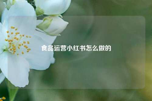 食品运营小红书怎么做的