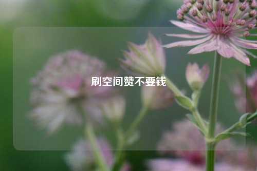 刷空间赞不要钱