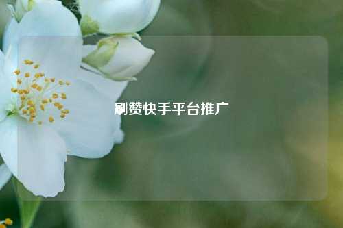 刷赞快手平台推广