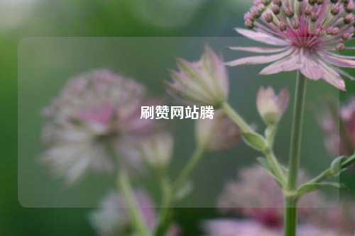 刷赞网站腾